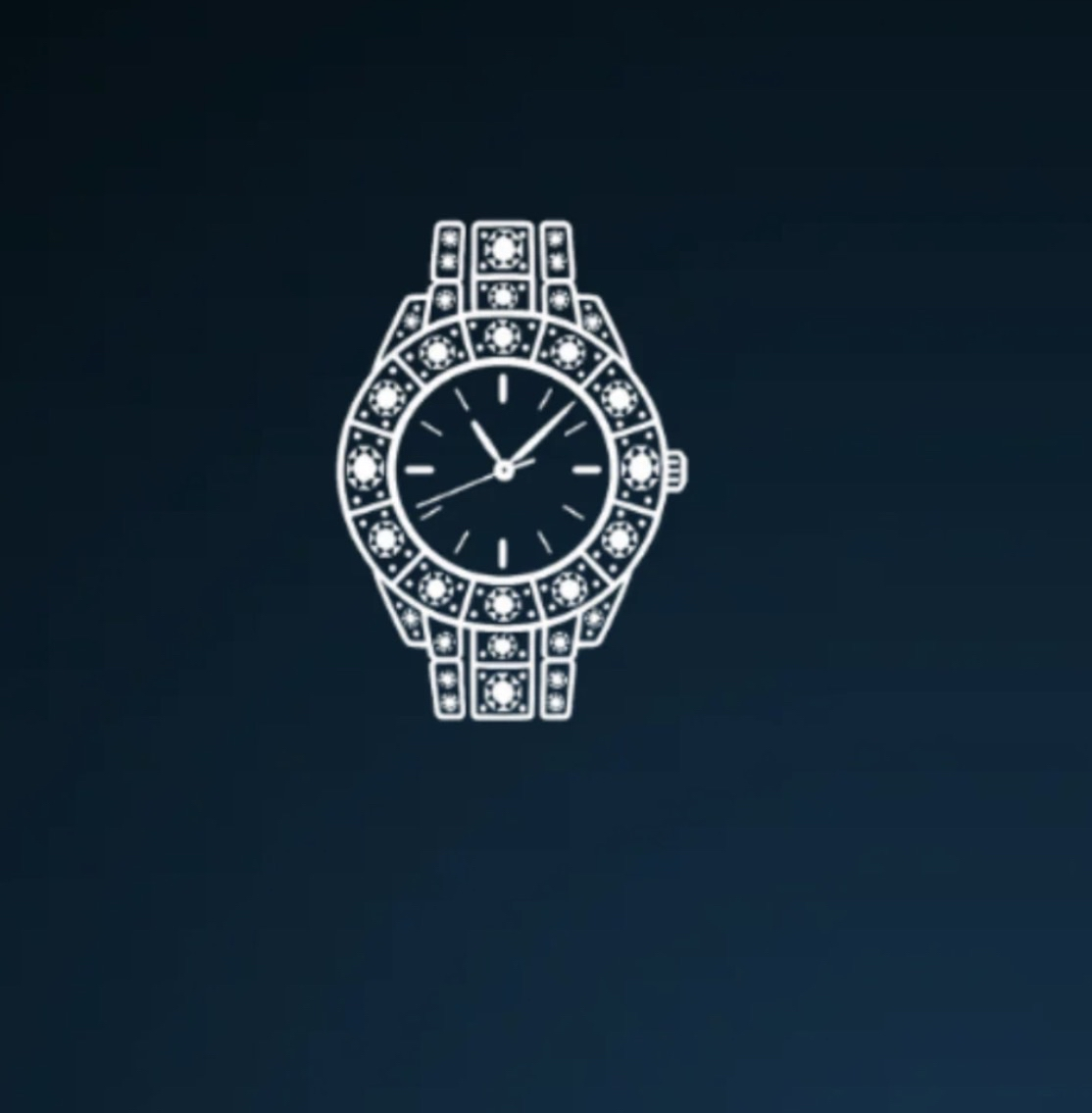 Luxury Watch Supplier